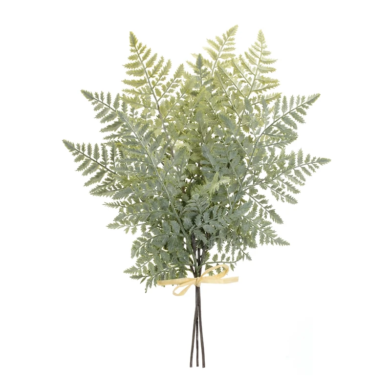 Fern Bundle for Natural and Elegant Holiday and Home Decor (Set of 2)