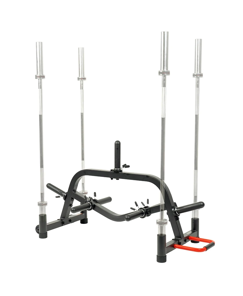 Sunny Health & Fitness Multi-Weight Plate and Barbell Rack Storage Stand Sf-XF9938