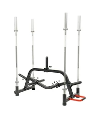 Sunny Health & Fitness Multi-Weight Plate and Barbell Rack Storage Stand Sf-XF9938