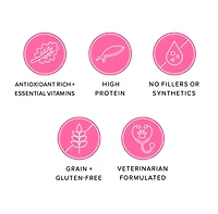 Ava's Pet Palace Freeze-Dried Salmon Puffs – Omega-3 Rich Wild-Caught Salmon, Kale & Flaxseed Dog Treats – 3 oz