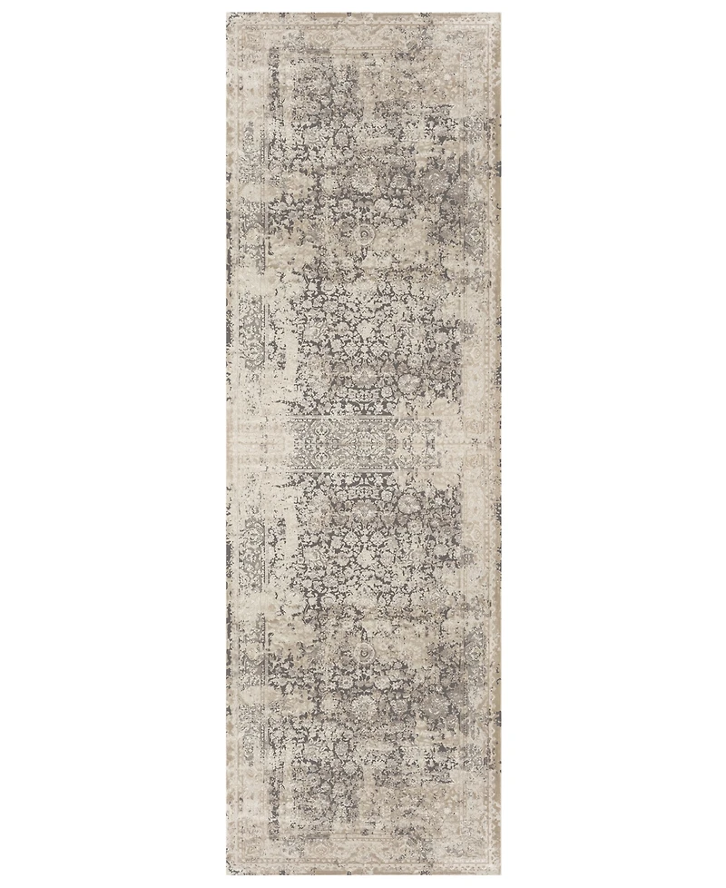 Lr Home Cheshire Chesh- 2'6''x9'9'' Runner Area Rug