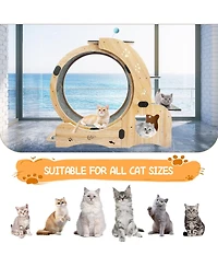 Streamdale Furniture 6-in-1 Cat Wheel: Exercise, House, Shelf, Bowl, Treadmill