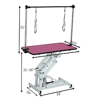 Streamdale Furniture 42.5" Adjustable Hydraulic Pet Grooming Table with Arm