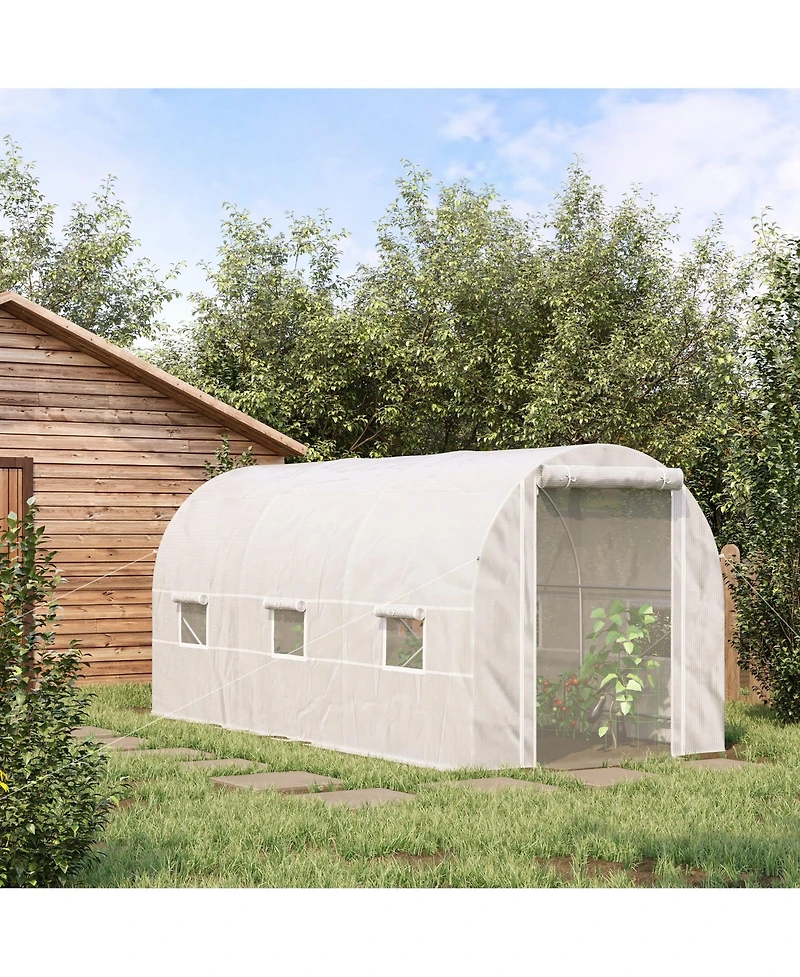 Spacious Walk-in Greenhouse for Year-Round Plant Cultivation
