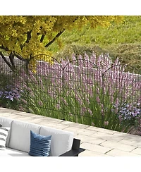 4-Panel Decorative Garden Fence with Interlocking Design