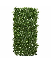 Slickblue Podocarpus Expandable Fence Uv Resistant & Waterproof