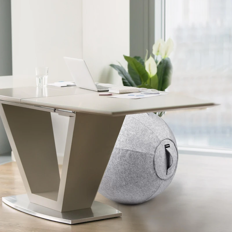 Bintiva Stability Ball with Felt Cover - 65cm
