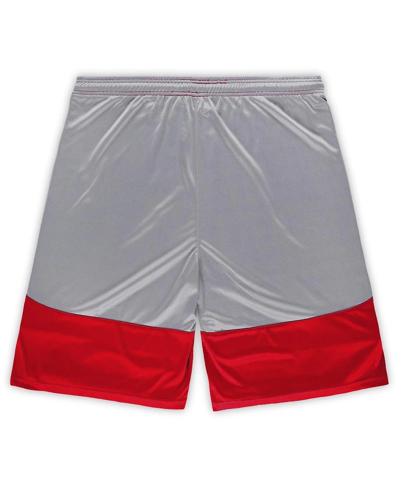 Fanatics Men's Scarlet/Silver San Francisco 49ers Big Tall Team Logo Shorts