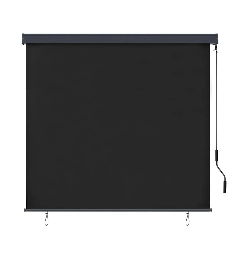 vidaXL Outdoor Roller Blind 63"x98.4" Anthracite