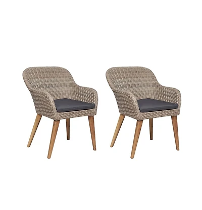 vidaXL Patio Chairs with Cushions 2 pcs Poly Rattan Brown