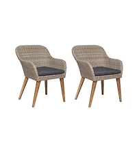 vidaXL Patio Chairs with Cushions 2 pcs Poly Rattan Brown