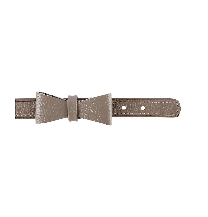 PoisePup Pet Dog Bow Tie - Desert Mint