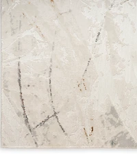 Nourison Home Desire DSR04 5'3"x7'3" Area Rug