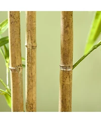 6ft Artificial Bamboo Plant