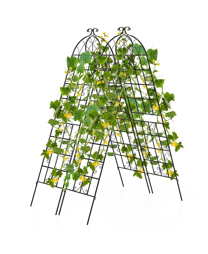 Sugift 2 Pack Metal Garden Trellis Decorative for Climbing Plants