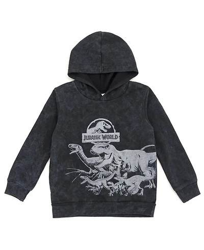 Jurassic World Boys Dinosaur T-Rex Fleece Pullover Hoodie to