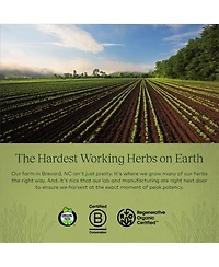 Gaia Herbs Adrenal Health Jump Start - Helps Sustain Healthy Energy and Stress Levels - With Cordyceps, Schisandra, Rhodiola, and Licorice