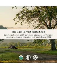 Gaia Herbs Kava Root - Helps Sustain a Sense of Natural Calm and Relaxation During Times of Stress - Made With Noble Kava Cultivars
