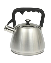 Mr. Coffee Armidale Large 2.5QT Brushed Stainless Steel Whistling Tea Kettle