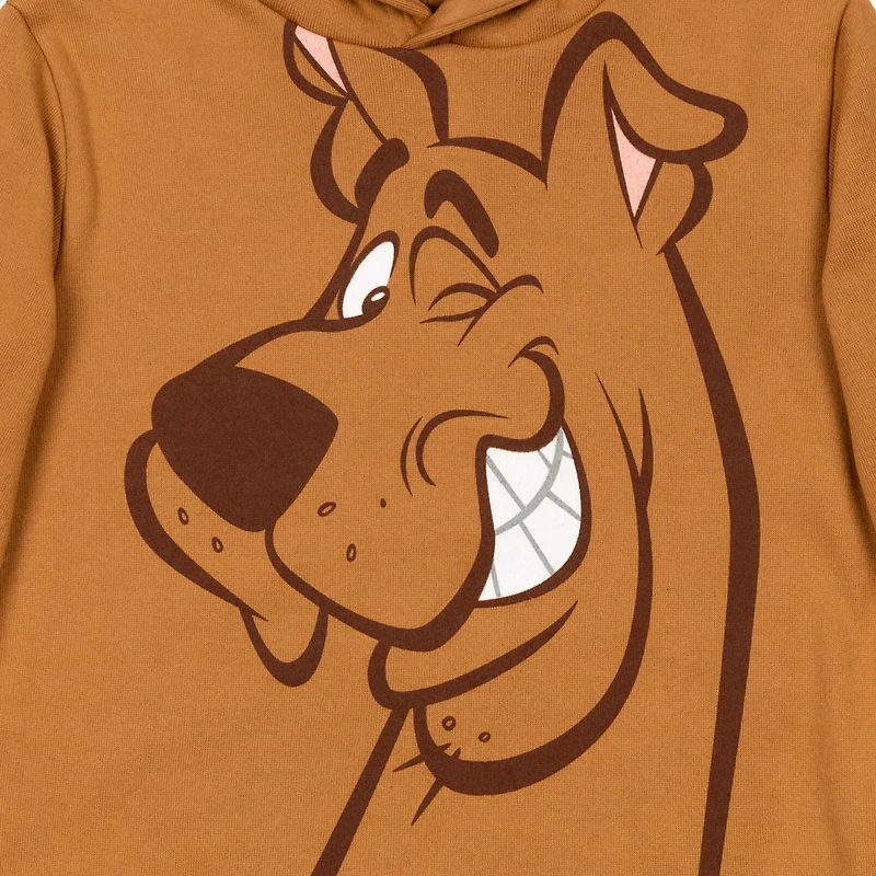 Scooby Doo Boys Warner Bros. Fleece Pullover Hoodie