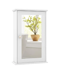 Bathroom Wall Cabinet with Single Mirror Door-Gray
