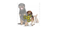 Tuffy Gear Ring Red & Jr 3 Way Tug Yellow -Combo Pack, Durable Dog Toys