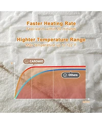 Caromio Queen Size Tufted Sherpa Electric Heated Blanket with Dual Control, 84" x 90"