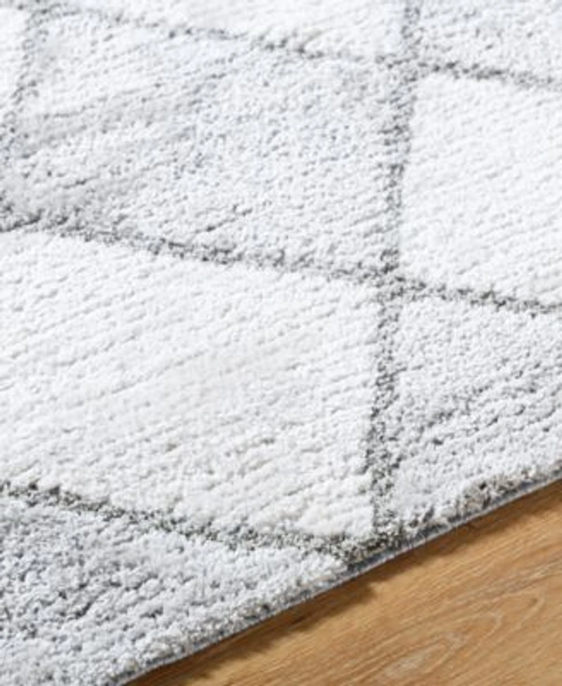 Livabliss Delight Shag Del 2306 Rug Collection