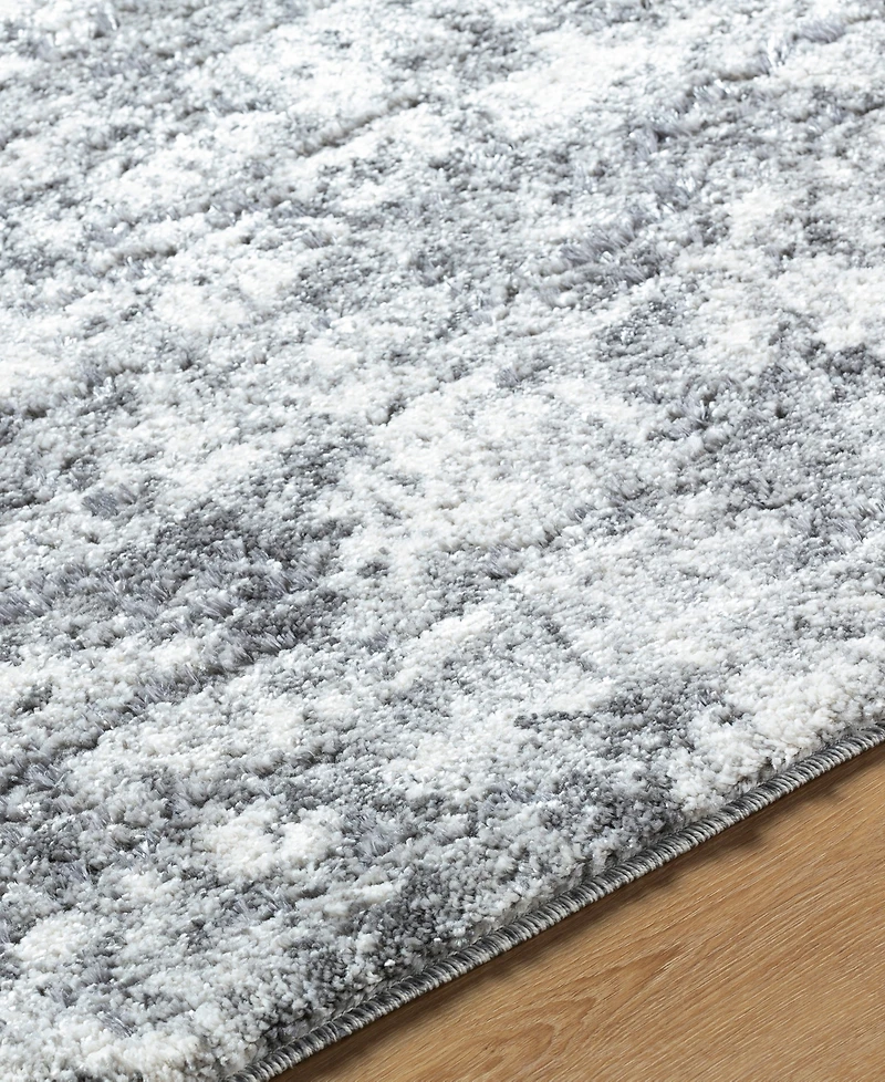 Livabliss Andorra Plus Arp-2308 5'3"x7'3" Area Rug
