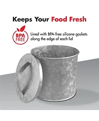 Amici Home Newport Galvanized Metal Canister