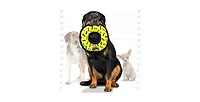 Tuffy Ultimate Ring Yellow & 3 Way Tug Red-Combo Pack, Durable Dog Toys