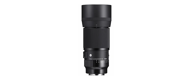 Sigma 105mm f/2.8 Dg Dn Macro Art Lens for Sony E