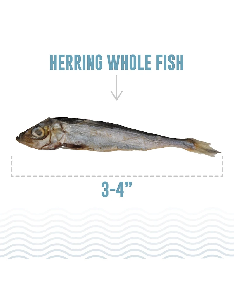 Whole Fish: Herring - Dog Treat 9oz