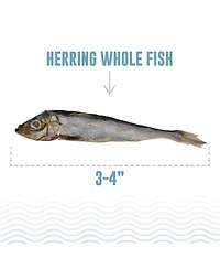 Whole Fish: Herring - Dog Treat 9oz