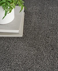 Nourison Home Dreamy Shag DRS05 5'3"x7'3" Area Rug