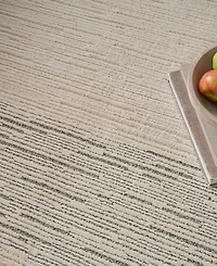 Nourison Home Andes AND05 7'10"x9'10" Area Rug