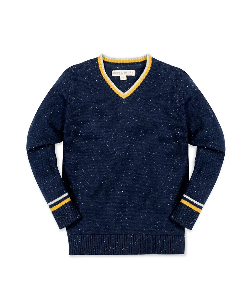 Hope & Henry Baby Boys Long Sleeve V-Neck Sweater
