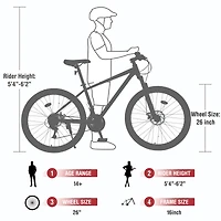 Streamdale 24 Speed 26" Mountain Bike