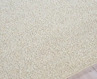 Exquisite Rugs Ferretti 5752 8'x10' Area Rug