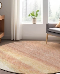 Dalyn Trevi Washable TV2 8'x8' Round Area Rug