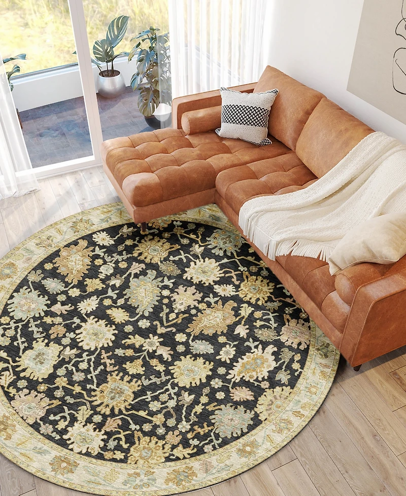 Dalyn Hatay Washable HY2 8'x8' Round Area Rug