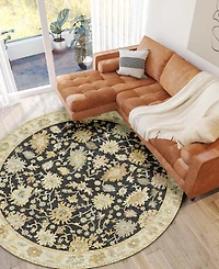 Dalyn Hatay Washable HY2 8'x8' Round Area Rug