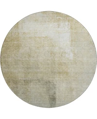 Dalyn Trevi Washable TV5 8'x8' Round Area Rug