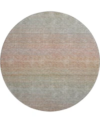 Dalyn Trevi Washable TV11 8'x8' Round Area Rug