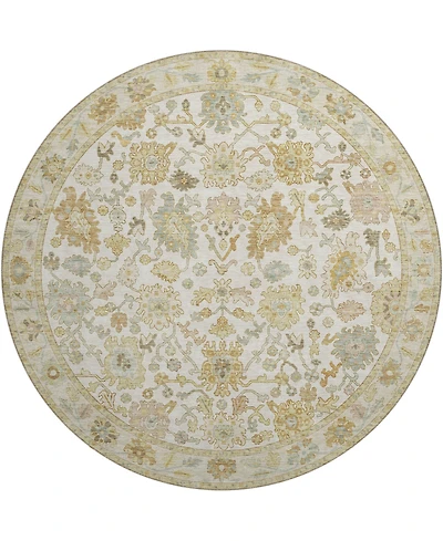 Dalyn Hatay Washable HY2 8'x8' Round Area Rug