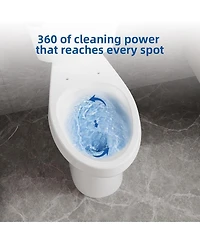 gaomon Two-Piece Elongated Toilet - 21" Bowl Height, Standard Seat Included