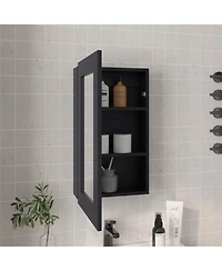 Kiana Medicine Cabinet, 1 Door, 3 Shelves, 25.70" H, Mirror, Black Wengue
