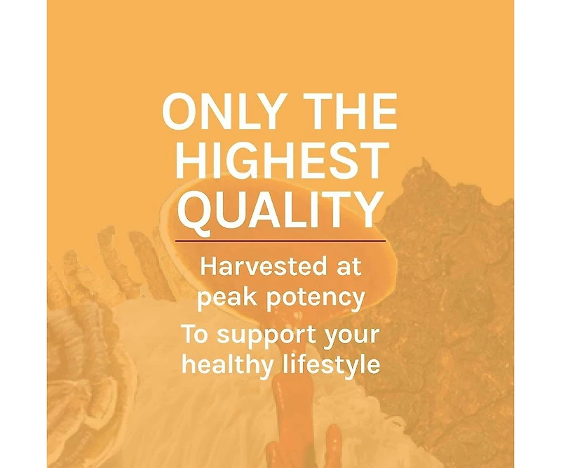Host Defense Cordyceps Extract - Immune & Energy Support Supplement