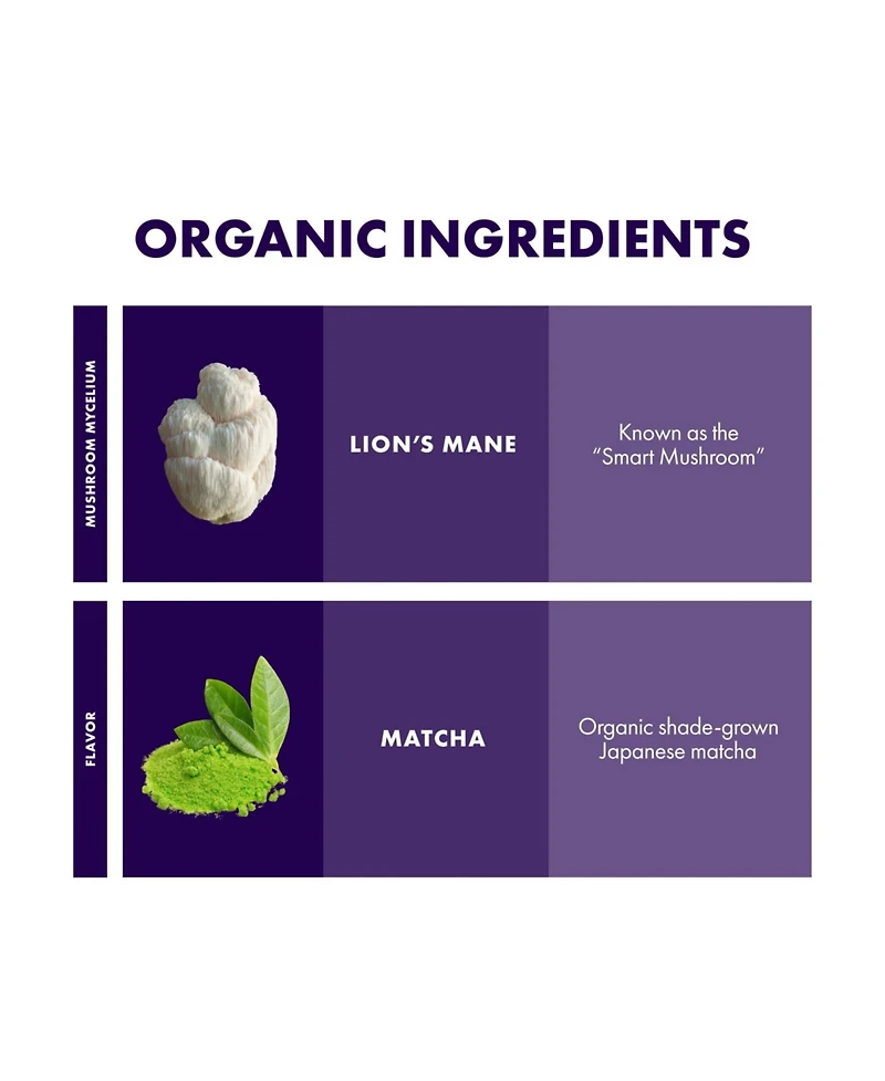 Host Defense MycoBrew Matcha - Matcha Drink Mix - Matcha Green Tea Powder that Includes Lion's Mushroom - Drink Mix with Organic Matcha Tea