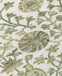 Addison Chantille Machine Washable ACN1087 9'x12' Area Rug